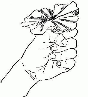 Fig. 245&mdash;Flatten out the top.
