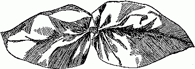 Fig. 252&mdash;The morning-glory leaves.