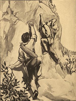 "THEY WERE NOW GOING UP THE FACE OF THE CLIFF."&mdash;P. 204. Frontier Boys on the Coast.