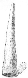 Fig. 120.&mdash;Cone with coloured base; from Loftus.
