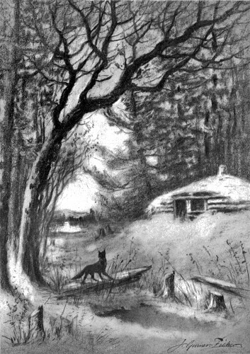 "On the other side of the mountain stood the dismal
hut."