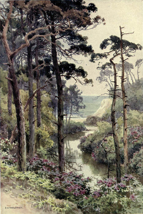 BRANKSOME CHINE, BOURNEMOUTH One of the most picturesque of the many chines or openings in the
coast. Branksome Chine was formerly the landing-place of the famous
smuggler Gulliver, who amassed a fortune.