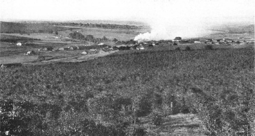 General View of Fazenda Dumont, Ribeirao Preto, S&atilde;o Paulo, Brazil