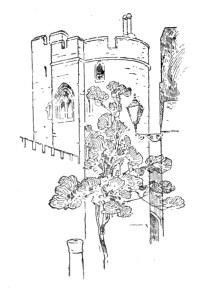 Decoration