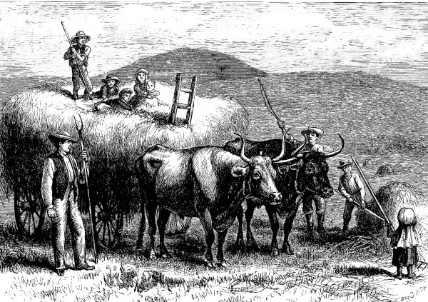RIDING HOME FROM THE HAY FIELD.&mdash;Drawn by W.&nbsp;M. Cary.