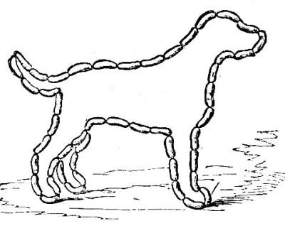 SOLUTION OF THE MISSING-LINK PUZZLE IN YOUNG PEOPLE No.
34.