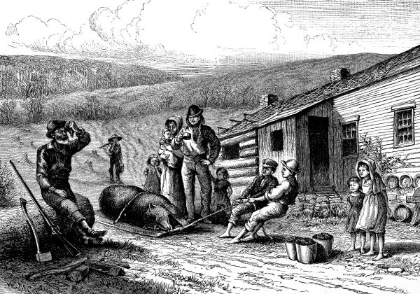 "A POOR, DOOD, DEAD BEAR."&mdash;Drawn by W.&nbsp;M. Cary.
