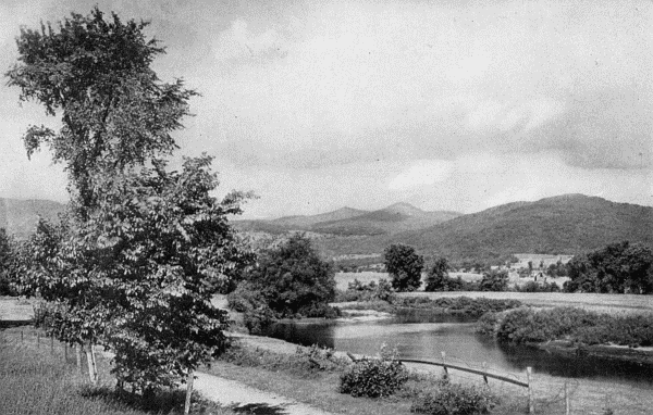 "I shall always think of Vermont as the State of wild
lawns and gardens"