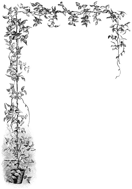 Fig. 169. Medeola asparago&iuml;des.