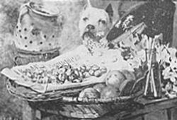 Guarda fiel―Antonio Jos&eacute; da Costa