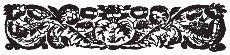 imagen (barra decorativa) no est� disponible