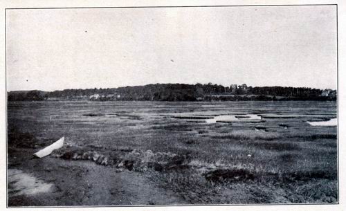 Along the Salt Marsh