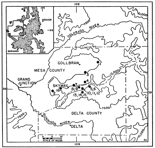 Fig. 1. Map of the Grand Mesa (for purposes of this paper the area above
7500 feet on each side of the northern boundary of Delta County). The inset
of the western three-fourths of Colorado shows the Grand Mesa in relation to
the larger areas of mountains in the state (areas above 9000 feet are stippled).
The following collecting localities are indicated by numbered, black dots:


(1) 2 mi. N, 9 mi. E Collbran, 7000 ft., Mesa County.
(2) Land's End Road to Grand Mesa, 6800 to 8050 ft., Mesa County.
(3) 3 mi. E, 4 mi. S Collbran, 6800 ft., Mesa County.
(4) 3 mi. E, 9 mi. S Collbran, 10,200 ft., Mesa County.
(5) 5-1/2 mi. E, 11-1/2 mi. S Collbran, in Delta County.
(6) 5-1/2 mi. E, 12 mi. S Collbran, 9600 to 10,400 ft., in Delta County.
(7) 28 mi. E Grand Junction (Sec. 29, T. 11S, R. 95W), Mesa County.
(8) 6 mi. E Skyway, 10,000 to 10,500 ft., in Delta County.
(9) 7 mi. E Skyway, in Delta County.
(10) 8 mi. E, 1/2 mi. S Skyway, 9500 to 10,200 ft., in Delta County.
(11) 8 mi. E, 3/4 mi. S Skyway, 10,200 ft., in Delta County.
(12) 8 mi. E, 1 mi. S Skyway, 10,000 to 10,200 ft., in Delta County.
(13) 8 mi. E, 1-1/2 mi. S Skyway, 8500 to 9600 ft., in Delta County.
(14) 8 mi. E, 2 mi. S Skyway, 9000 ft., in Delta County.
(15) 8 mi. E, 2-1/2 mi. S Skyway, 9600 ft., in Delta County.
(16) 1 mi. S, 4 mi. W Skyway, 10,200 ft., Mesa County.

