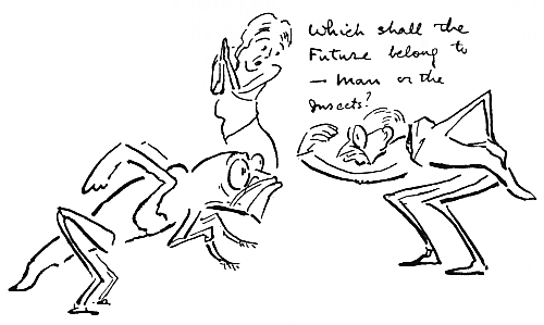 Which shall the Future belong to&mdash;man or the insects?