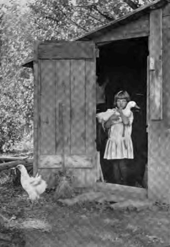 Springtime in the country. City children may well
envy their little country cousins the free life in the open and
the companionship with animals.