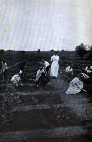 A school garden where the children are taught to love
and understand the growing things as well as to cultivate them.
