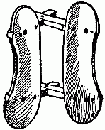 Under Side of Pack
Saddles.