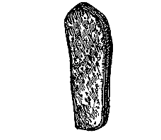 Shape of Collar Pad&mdash;for
Pack Saddles.