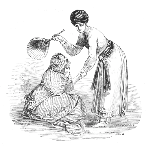 T&aacute;j-el-Mulook receiving the Old Woman