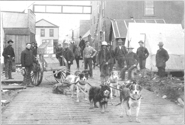 Copyright by E. A. Hegg, Juneau Courtesy of Webster &
Stevens, Seattle

Dog-team Express, Nome