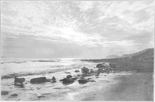 Copyright by E. A. Hegg, Juneau

Sunrise on Behring Sea