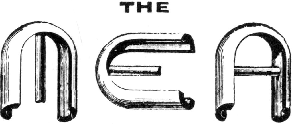 THE
  MEA