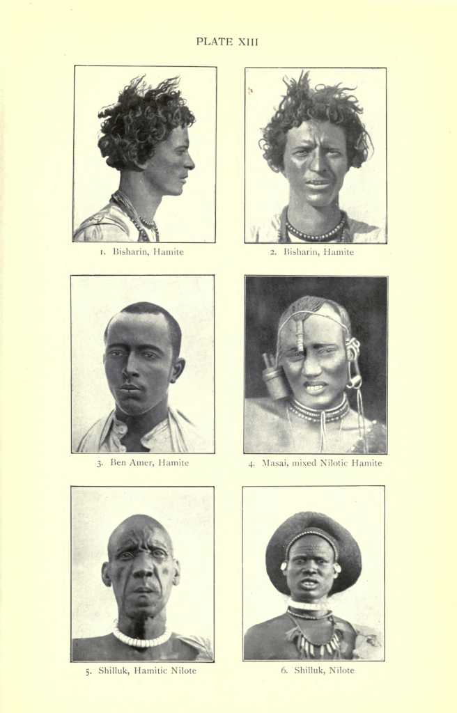 PLATE XIII