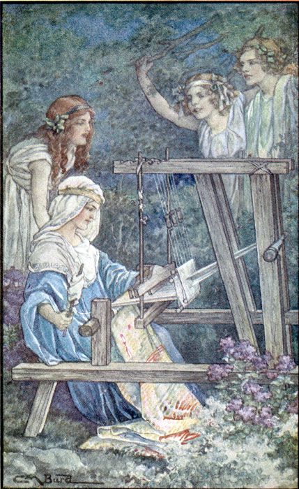 What design will Arachne embroider to-day? asked one of
the nymphs.