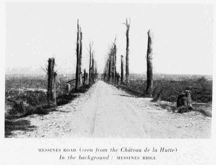 MESSINES ROAD (seen from the Ch�teau de la Hutte)
In the background: MESSINES RIDGE