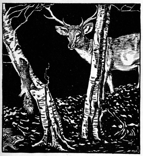 THROUGHOUT THE LONG WINTER MONTHS DEER LOOKED LONGINGLY
FOR RAINBOW