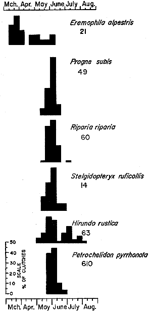 Fig 6.&mdash;Histograms representing breeding schedules of the Horned Lark and swallows