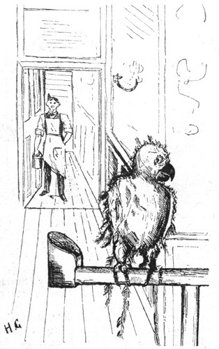 Parrot: "Here he comes again. If he pulls another feather out I'll fly
away!"

By H. Grattan in the "Pelican."

SELECTED BY MR. JOHN HASSALL.