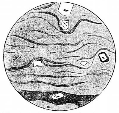 Fig. 44.

Slice of volcanic glass under the microscope,
showing large included crystals brought up
from inside the volcano in the fluid lava. The
dark bands are lines of microliths formed as
the lava cooled. (J. Geikie.)