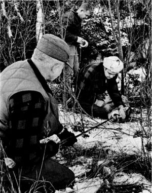 Figure 6.&mdash;A choker was used to restrain wolves
caught in traps. (Photo courtesy of D. L.
Breneman.)