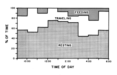 Figure 17.&mdash;Percentage of time spent by radiotagged
wolves in various types of activity
throughout the day, from December through
April.