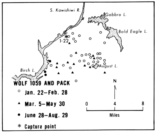 Figure 24.&mdash;Location and range of wolf 1059
and pack. Only selected lakes are shown.