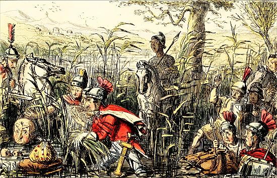 Marius discovered in the Marshes at Minturn�.