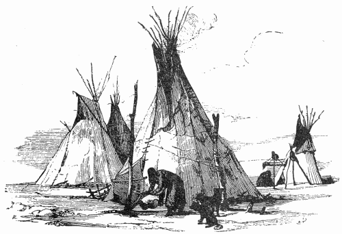 Fig. 2.&mdash;Tipis.