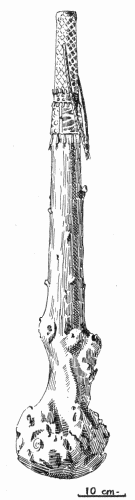 Fig. 9.&mdash;Wooden club.
