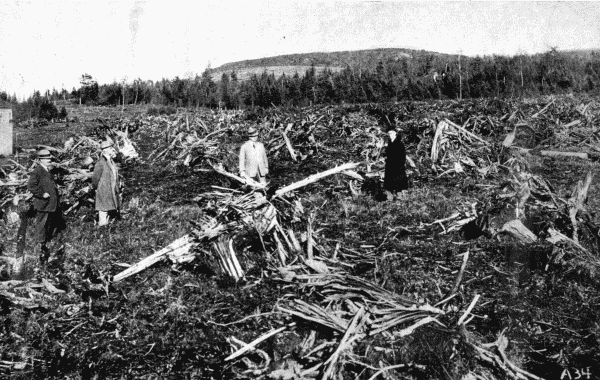 By permission of Dupont Powder Co., Wilmington, Delaware

First Effect of the Dynamite

Clearing a field of tree stumps by blowing them up with dynamite.&mdash;See p. 16