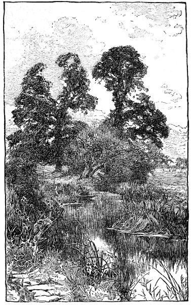 ELMS BY BIDFORD GRANGE. BY ALFRED PARSONS.
REPRODUCED FROM QUILLER COUCH'S 'THE WARWICKSHIRE
AVON.'

BY LEAVE OF OSGOOD, McILVAINE AND CO.