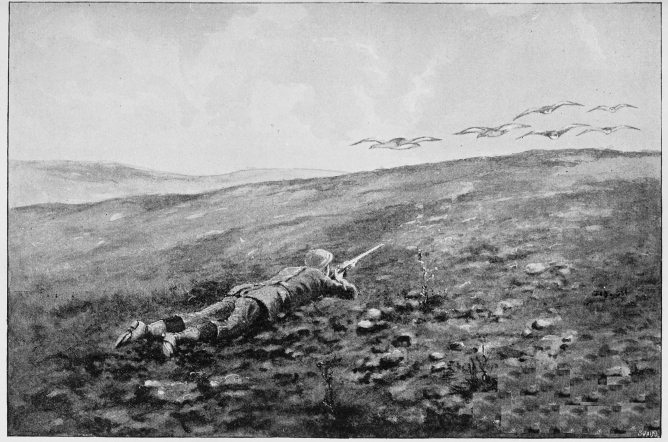 Plate VIII.

BUSTARD-DRIVING&mdash;THE PACK "COME WELL IN!"

Page 40.