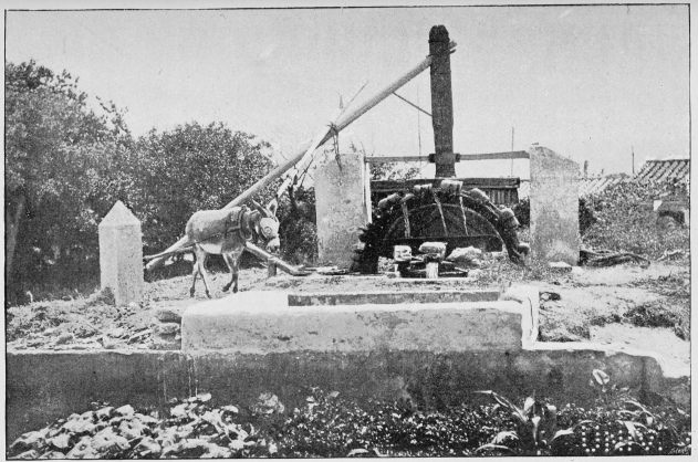 Plate XXXVIII.

IRRIGATION BY WATER-WHEEL (NORIA).

Page 334.