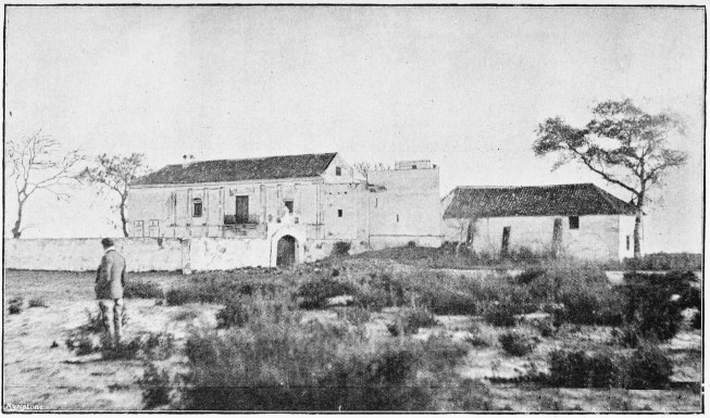 Plate XL.

PALACIO DE DO�ANA.

Page 350.