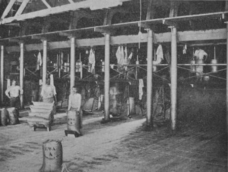 Fig. 37.&mdash;Sorting and sacking Coffee.