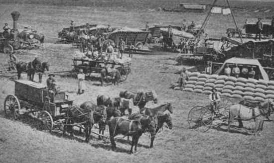 Fig. 4.&mdash;Threshing Wheat in Southern California.
