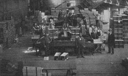 Fig. 57.&mdash;Grading and Packing Oranges.