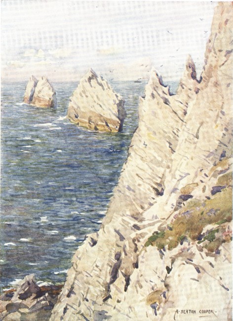 THE CHALK CLIFFS OF ENGLAND&mdash;THE NEEDLES, ISLE OF WIGHT