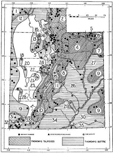 Fig. 1. Map showing the distribution of species and
subspecies of pocket gophers in Utah.