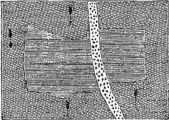 [Illustration:
Fragment of gneiss embedded in another variety of the same rock.]